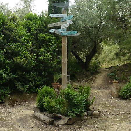 Ainzon Casa Rural Torre De Campos المظهر الخارجي الصورة